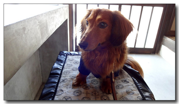 20131102033721.JPG