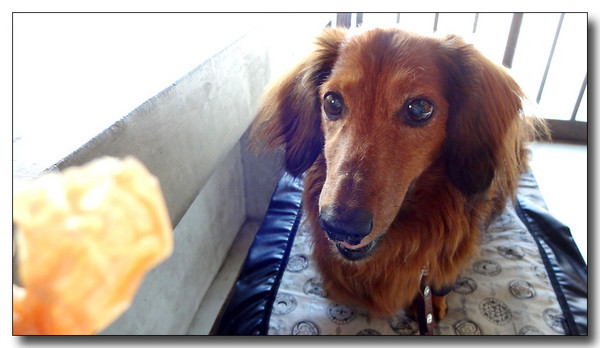 20131102033725.JPG
