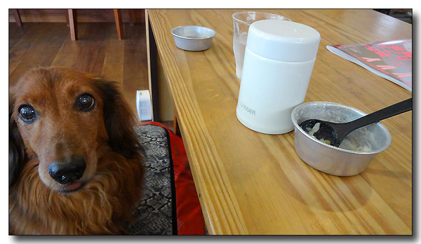 20131102174128.JPG