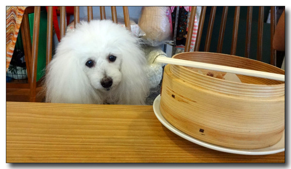 20131102174305.JPG