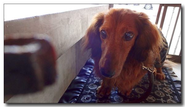 20131102183333.JPG