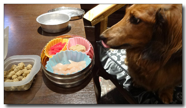 20131106072236.JPG