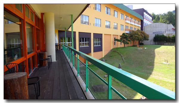 20131107084845.JPG