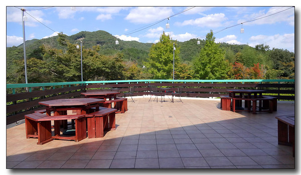 20131107084926.JPG