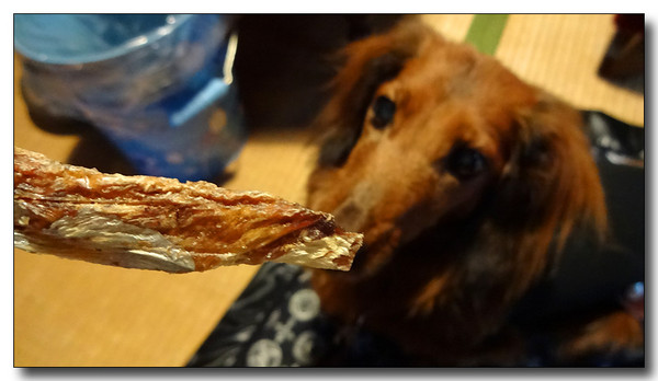 20131109045724.JPG