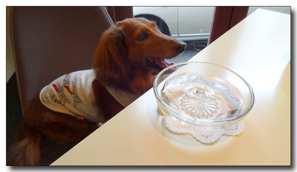 20130907102613.JPG