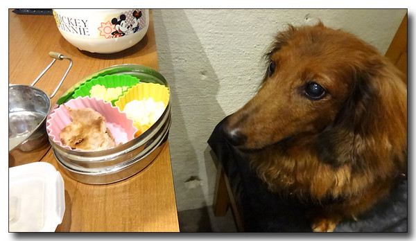 20130907102933.JPG