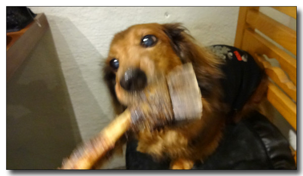20130907103002.JPG