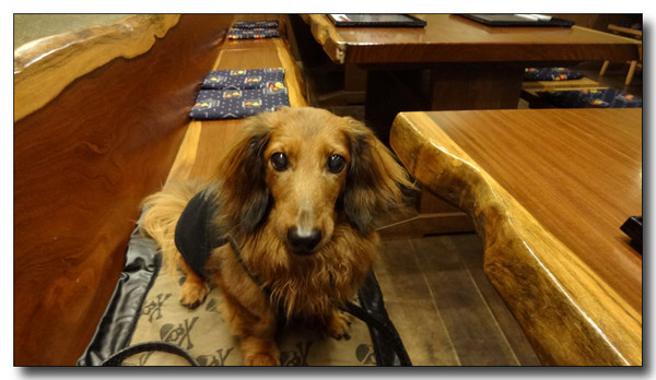 20130907113133.JPG