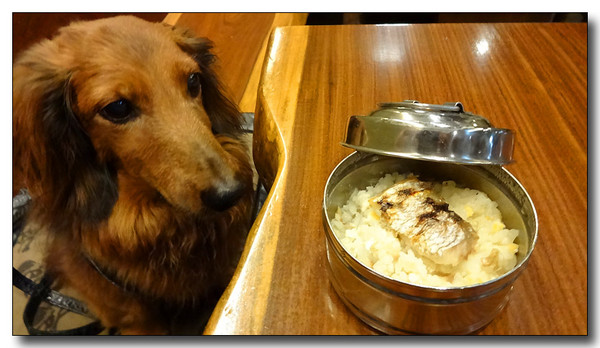 20130907113201.JPG