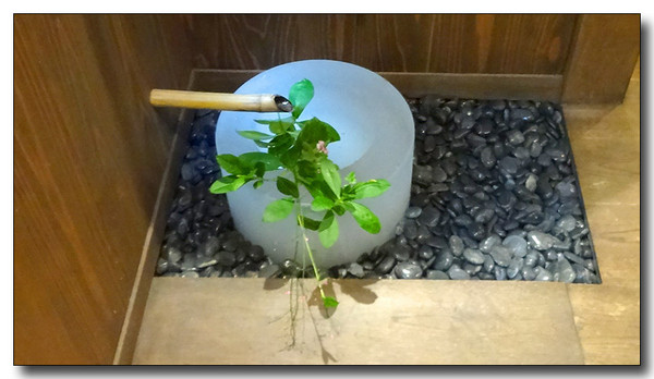 20130907113239.JPG