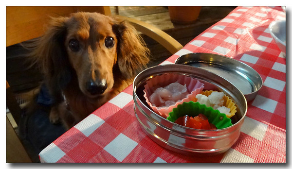20130907192551.JPG