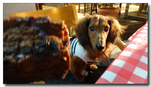 20130907192552.JPG