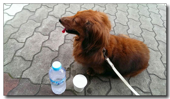 20130907200238.jpg