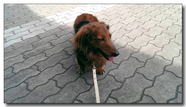20130907200239.jpg