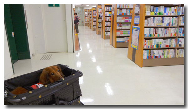 20130907203115.JPG