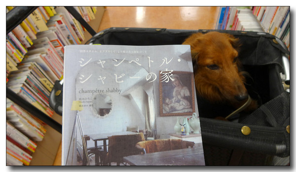 20130907203116.JPG