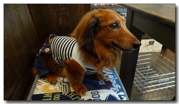 20130907204344.JPG