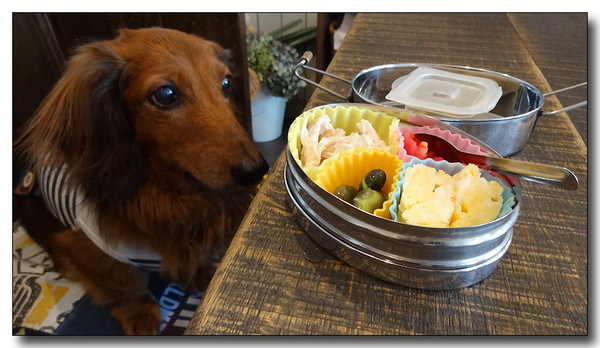 20130907204347.JPG