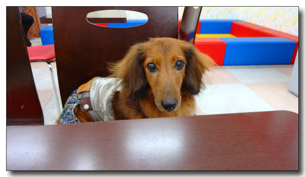 20130909172505.JPG