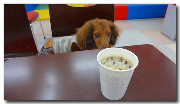 20130909172506.JPG