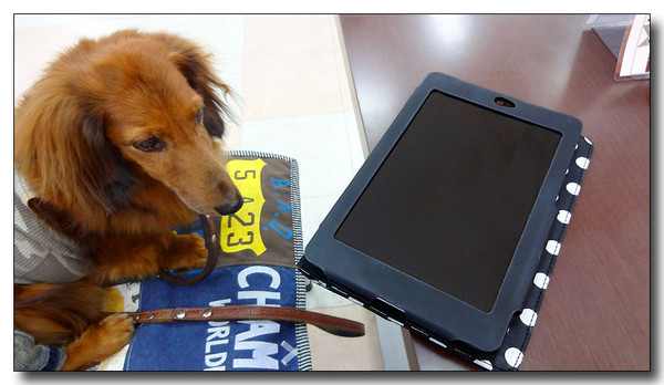 20130909172507.JPG