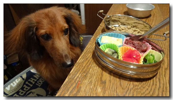 20130909172626.JPG