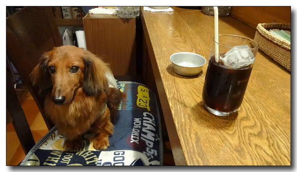 20130909172627.JPG