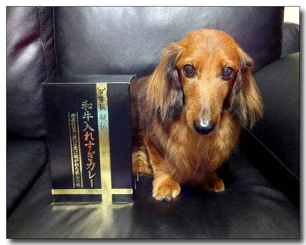 20130910094506.JPG