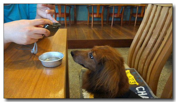 20130922203051.JPG