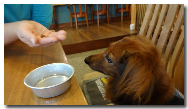 20130922203052.JPG