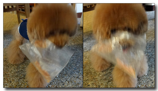 20130922203053.jpg