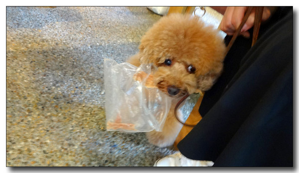 20130922203054.JPG