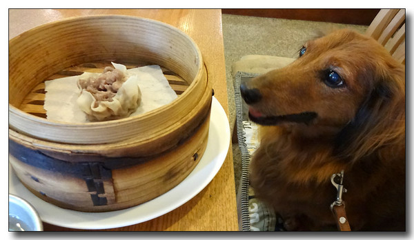 20130922203122.JPG