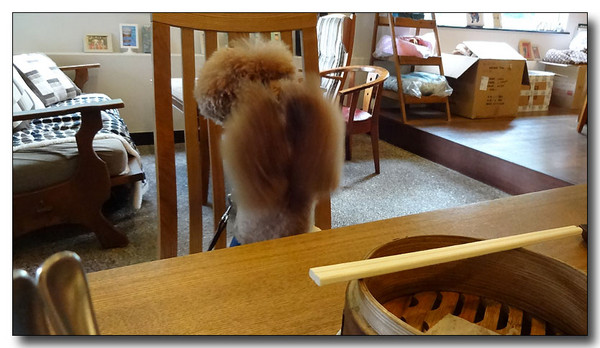 20130922203123.JPG
