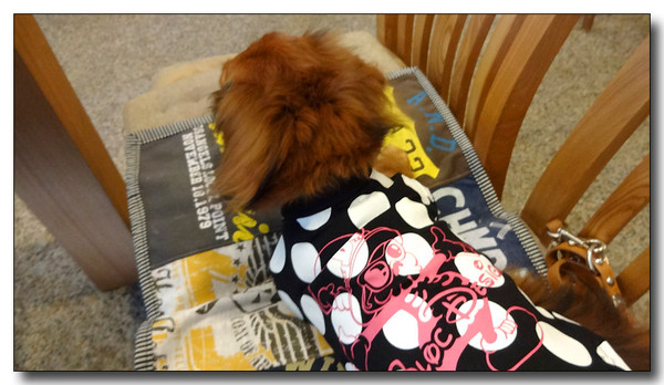 20130922203144.JPG