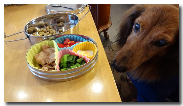 20130923084722.JPG