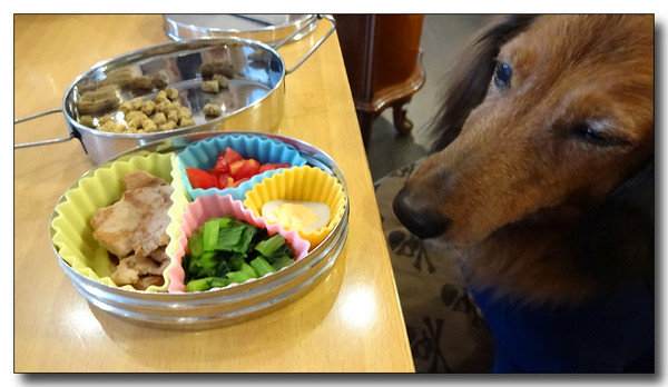 20130923084758.JPG