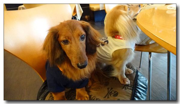 20130923084839.JPG