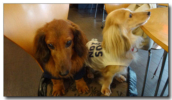 20130923084840.JPG