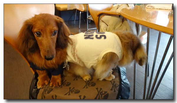 20130923084841.JPG