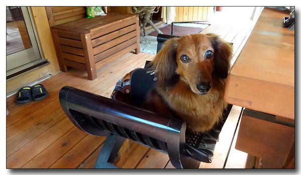 20130924222710.JPG