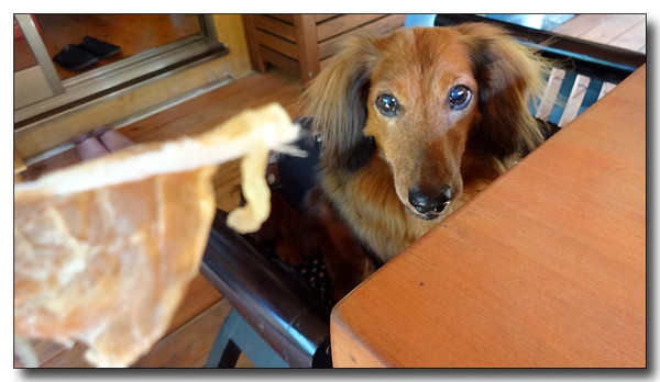 20130924222725.JPG