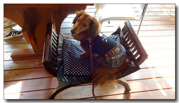 20130924222726.JPG