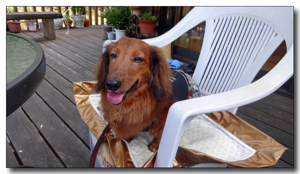 20130924224856.JPG