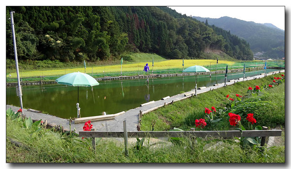 20130925065530.JPG