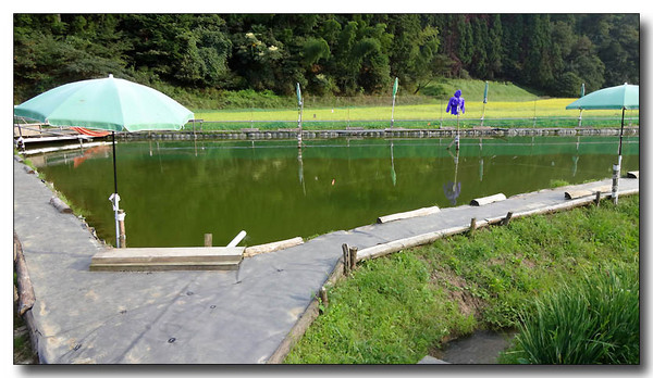 20130925065531.JPG