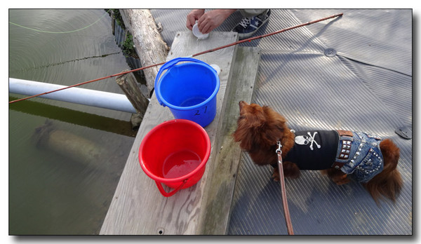 20130925065532.JPG