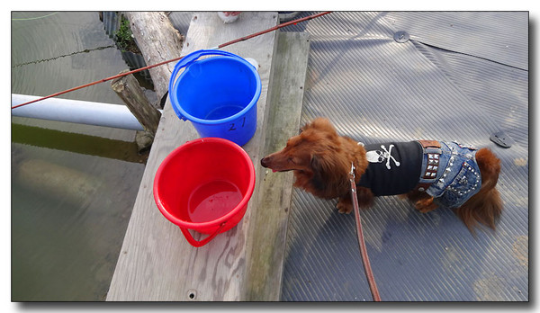 20130925065557.JPG