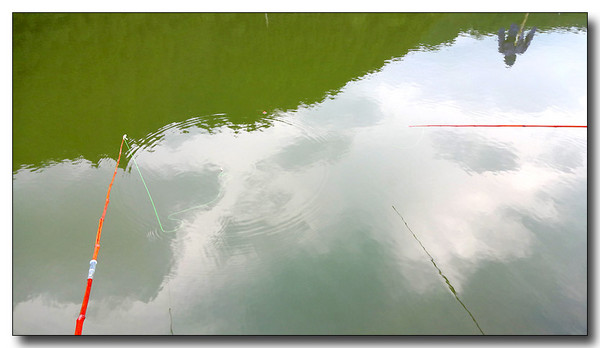 20130925065629.JPG
